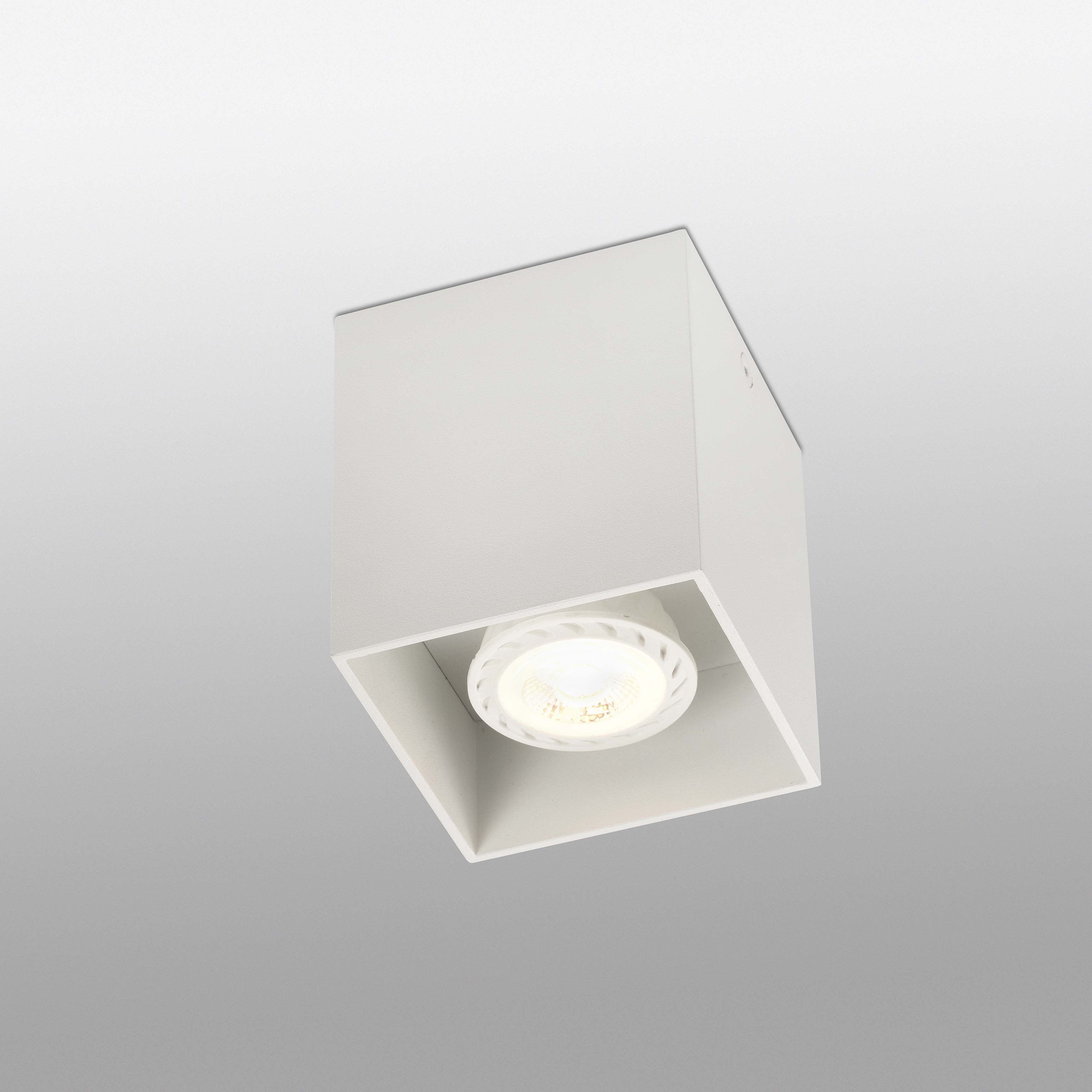 Faro Потолочный светильник Тесто-1 белый