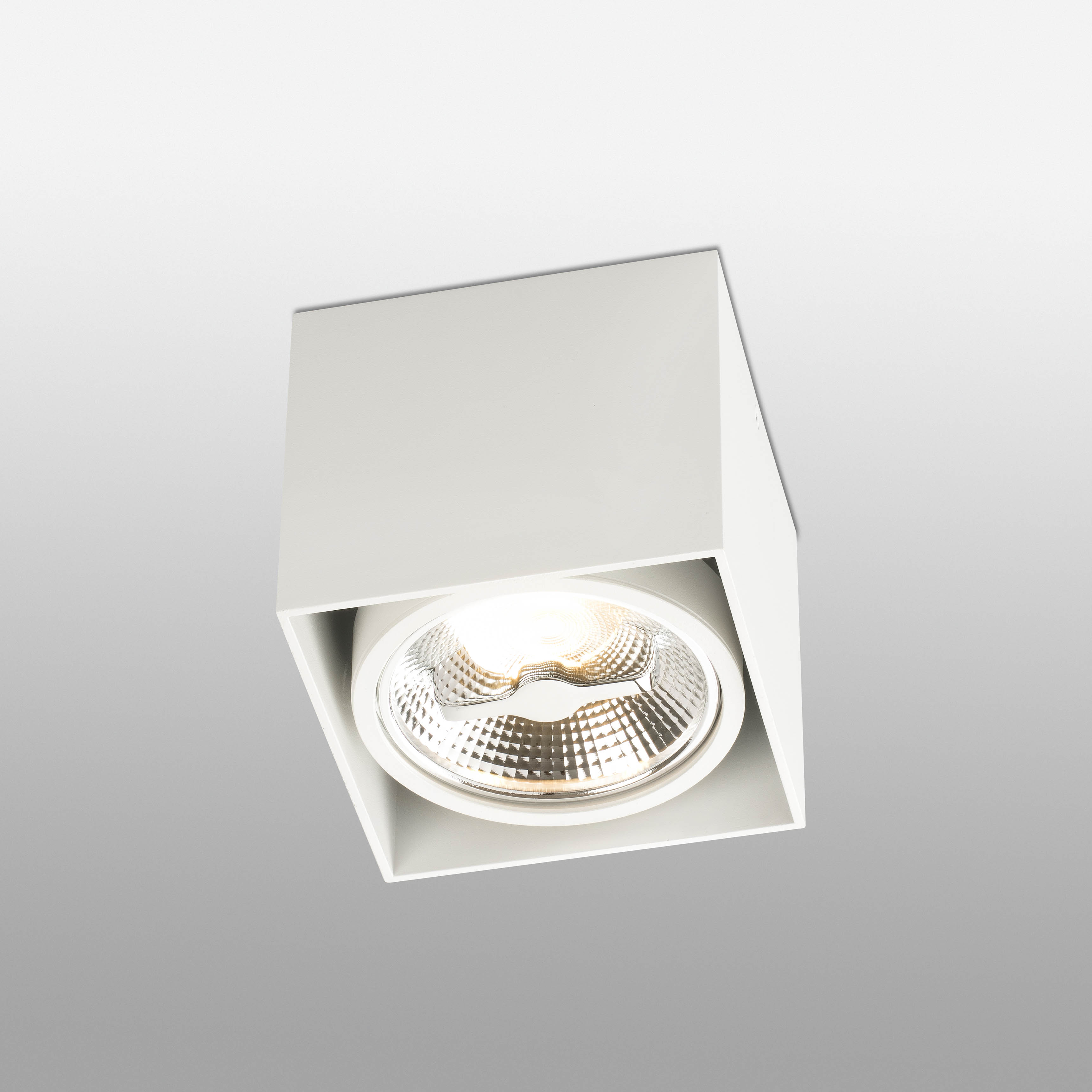 Faro Потолочный светильник Тесто-1 белый AR111