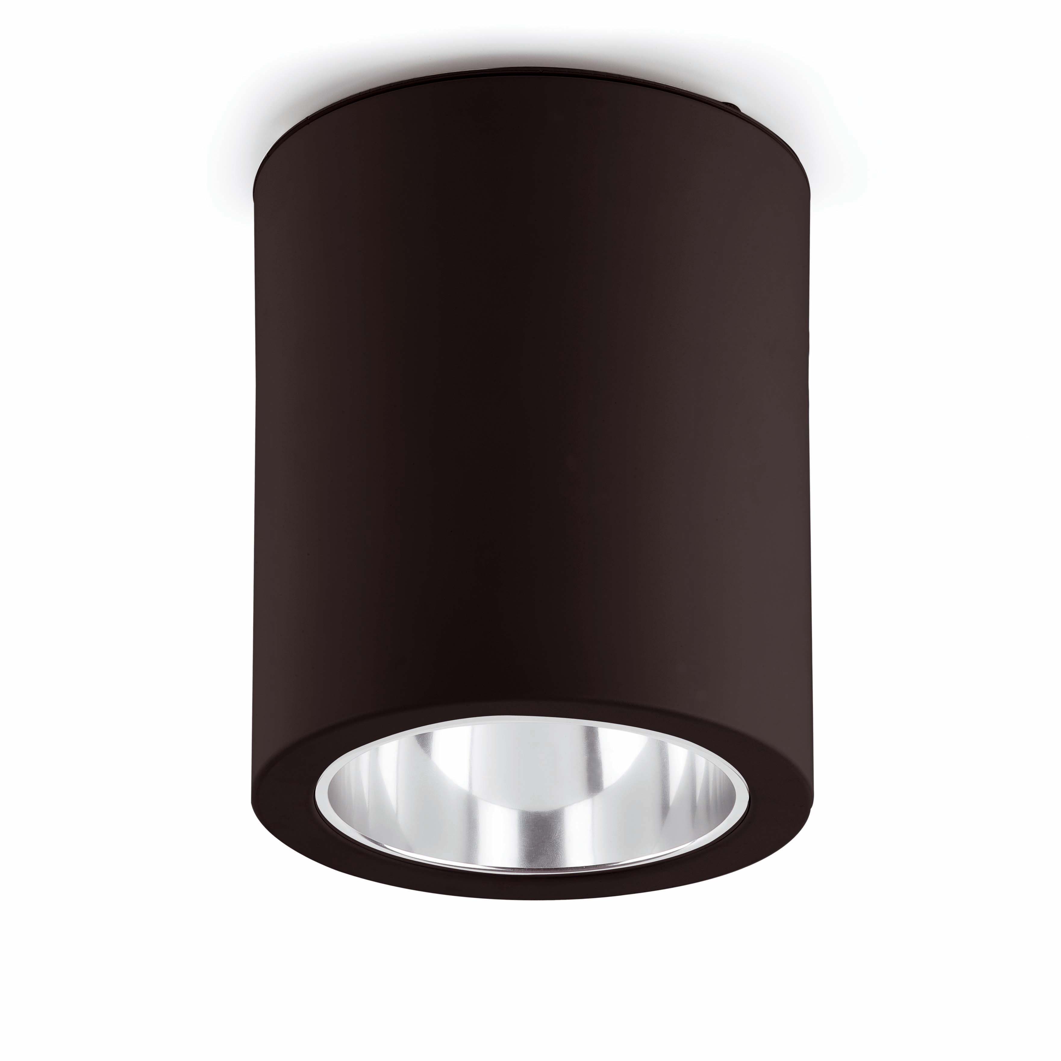 Faro Потолочный светильник Pote-1 черный 1L